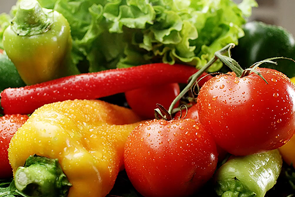 Food Safety Level 1 Final Quiz