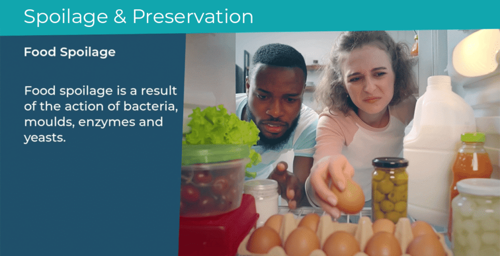 food spoilage couple look into fridge for bad smell
